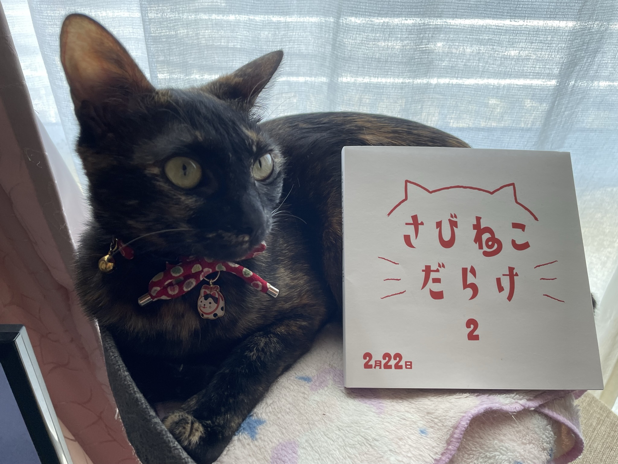 「さびねこだらけ2」のアイキャッチ画像